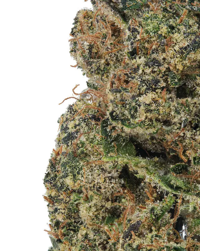 Peanut Butter Sour Exotic Siesta G Dispensary Siesta-G