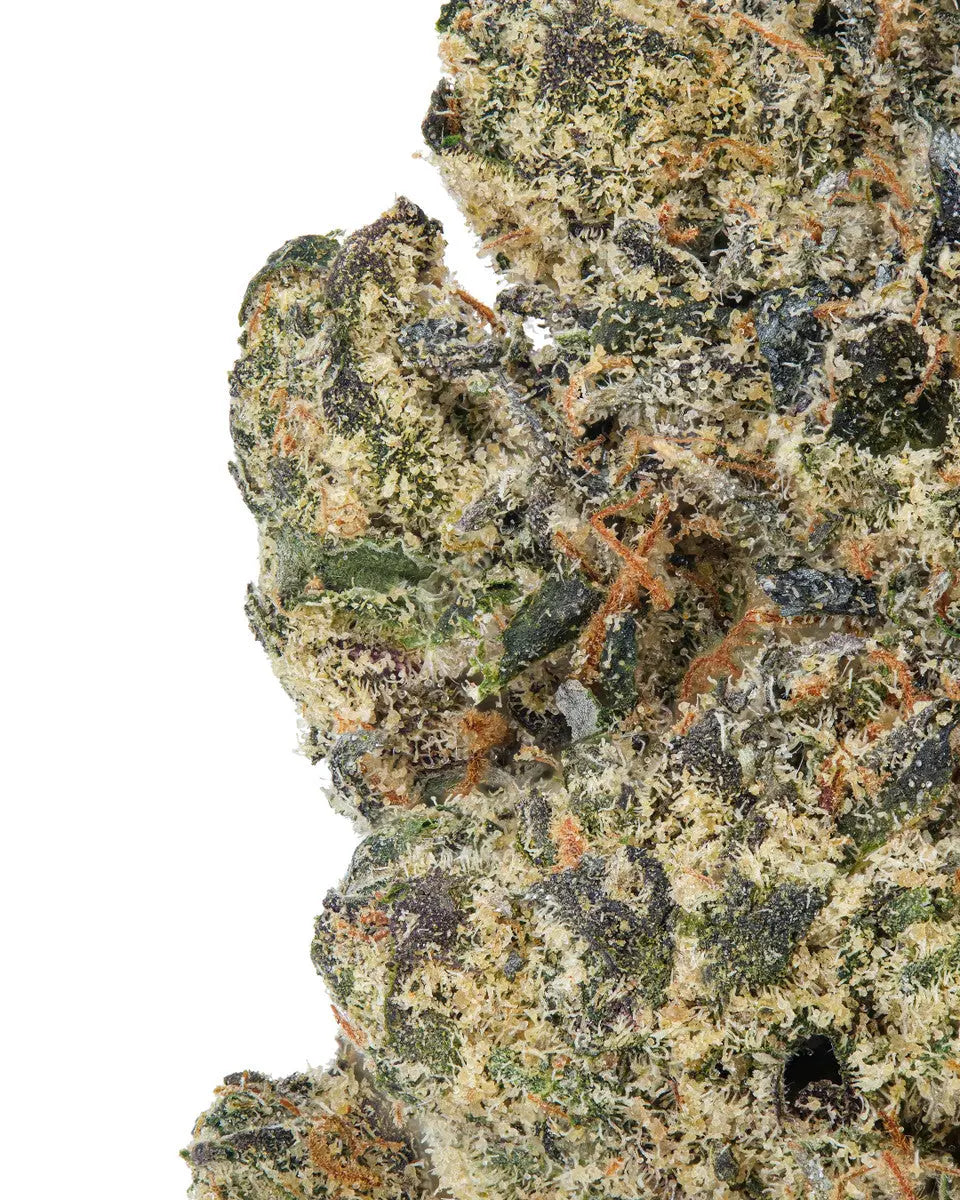 THC-A Flower Permanent Marker Exotic Indica QWIN Siesta G Dispensary