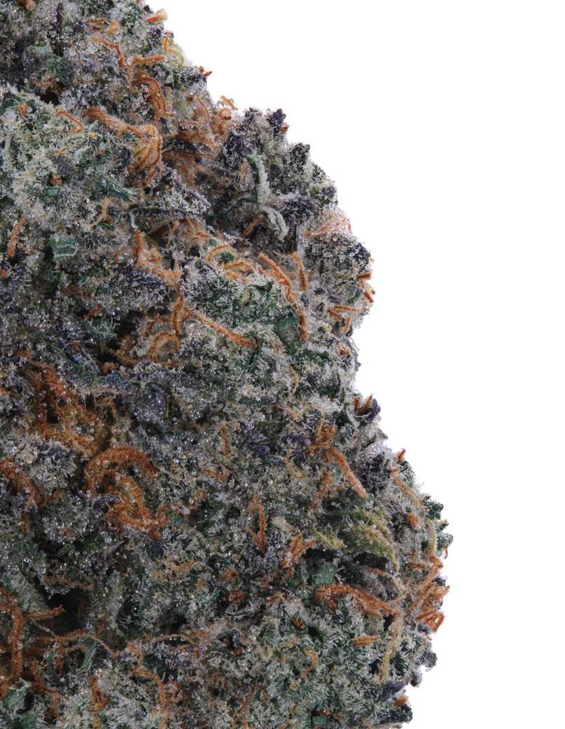 Pre-roll Lemon Meringue Indoor Premium Flower Siesta G