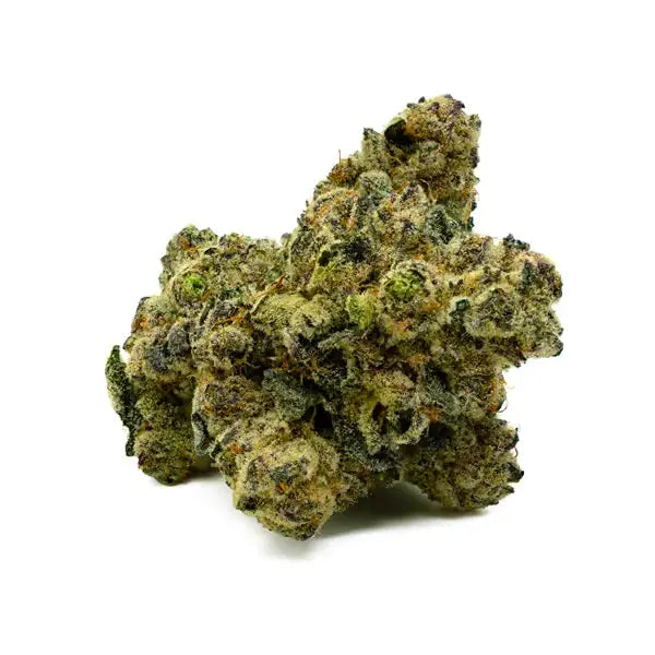 Premium Flower Purple Push Pop Indica-Hybrid Alternative Health Distributioin Siesta G Dispensary
