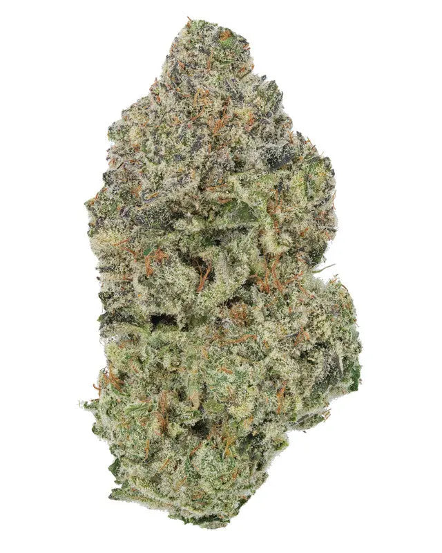 Premium Flower Quarantine Kush Sativa Siesta G Siesta G Dispensary