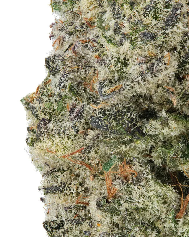 Premium Flower Quarantine Kush Sativa Siesta G Siesta G Dispensary