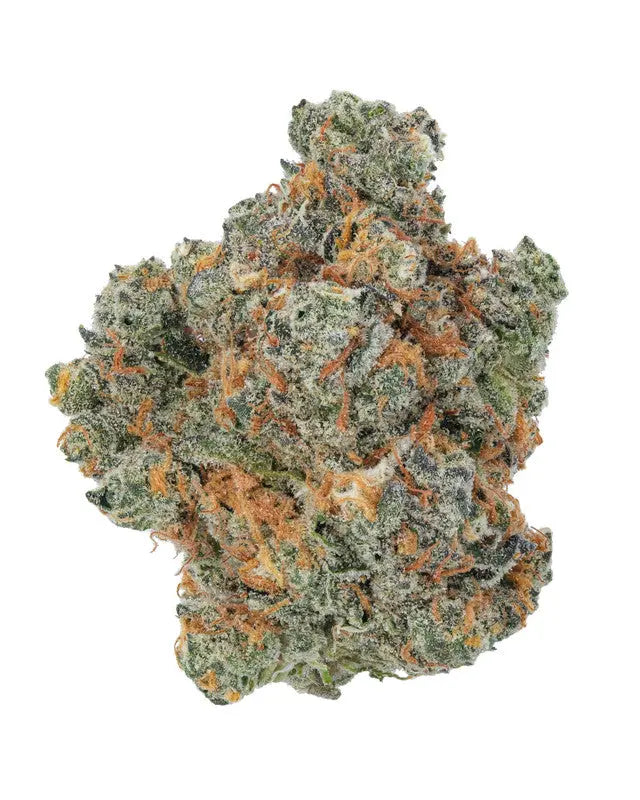 Premium Flower Rainbow Sherbert 11 AKA RS11 Siesta G Dispensary Siesta-G 3.5-Grams