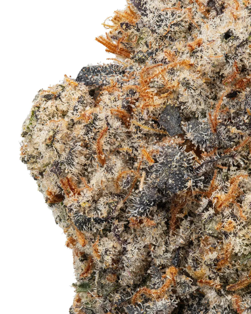 Premium Flower Rico Suave Sativa Alternative Health Distributioin Siesta G Dispensary