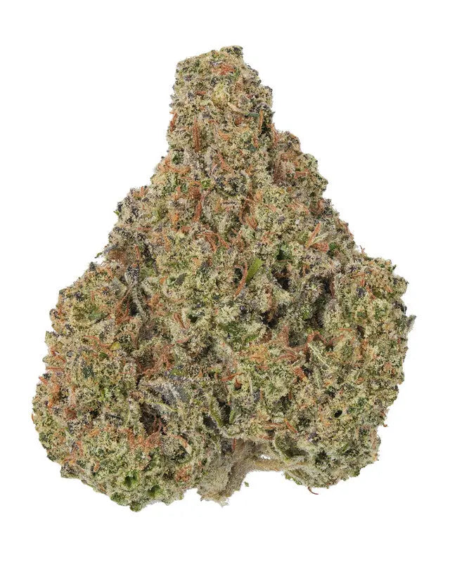 Premium Flower Rozidos Indica Hybrid Siesta G  Siesta G Dispensary