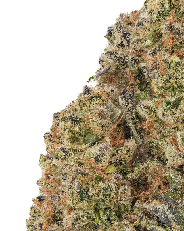 Premium Flower Rozidos Indica Hybrid Siesta G  Siesta G Dispensary