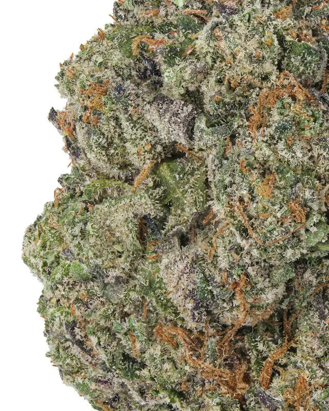 Premium Flower Runtz Hybrid - Indica Siesta G Siesta G Dispensary