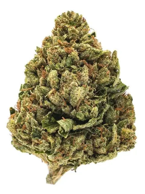 Premium Flower SPV OG Flow State Siesta G Dispensary