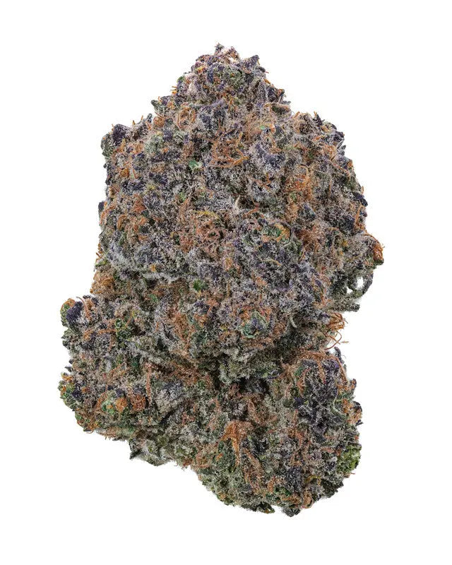 Serious Black Siesta G Dispensary Siesta-G