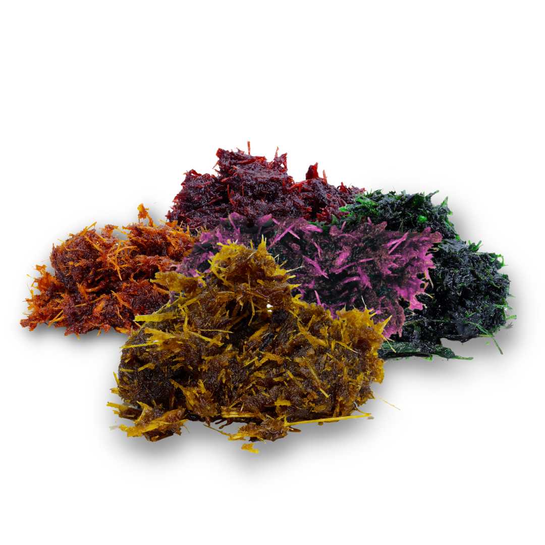 Shisha Infused Delta 8 950mg Variety Bundle Hookah Pack Siesta-G