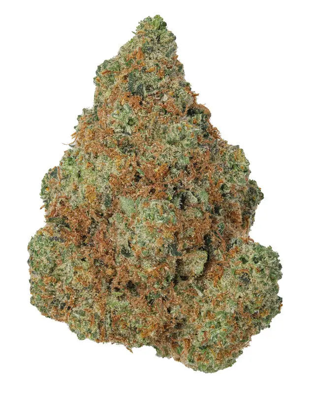 Premium Flower Sour Tangie Siesta G Siesta G Dispensary