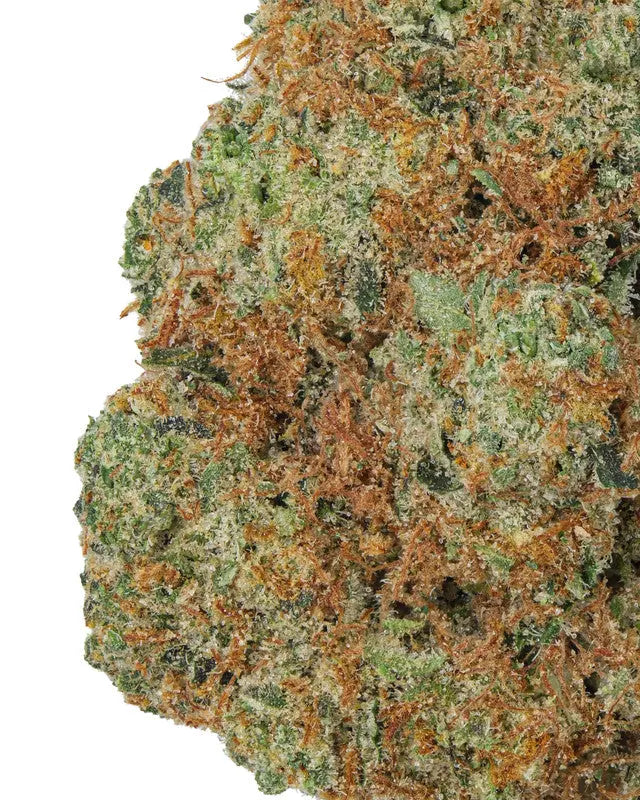 Premium Flower Sour Tangie Siesta G Siesta G Dispensary