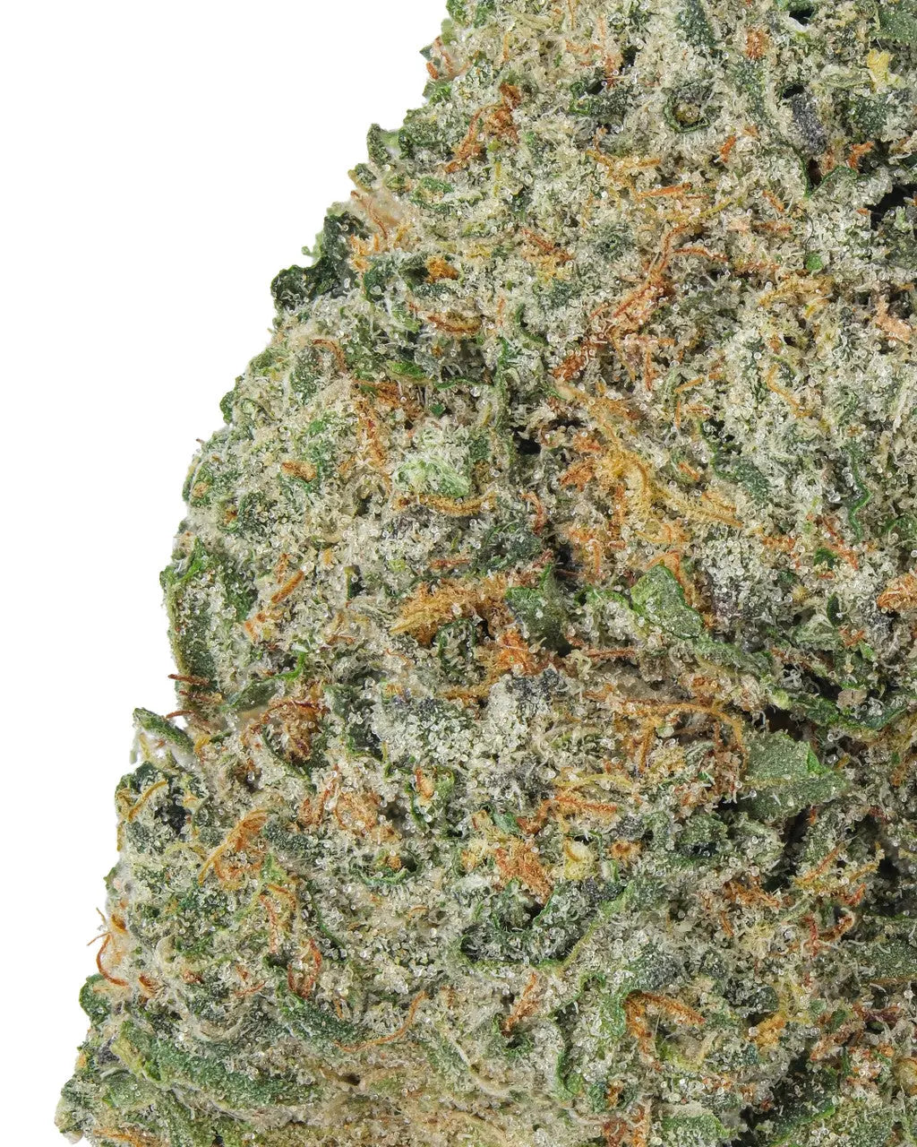 Premium Flower Strawberry Lemonade Sativa Siesta G Siesta G Dispensary