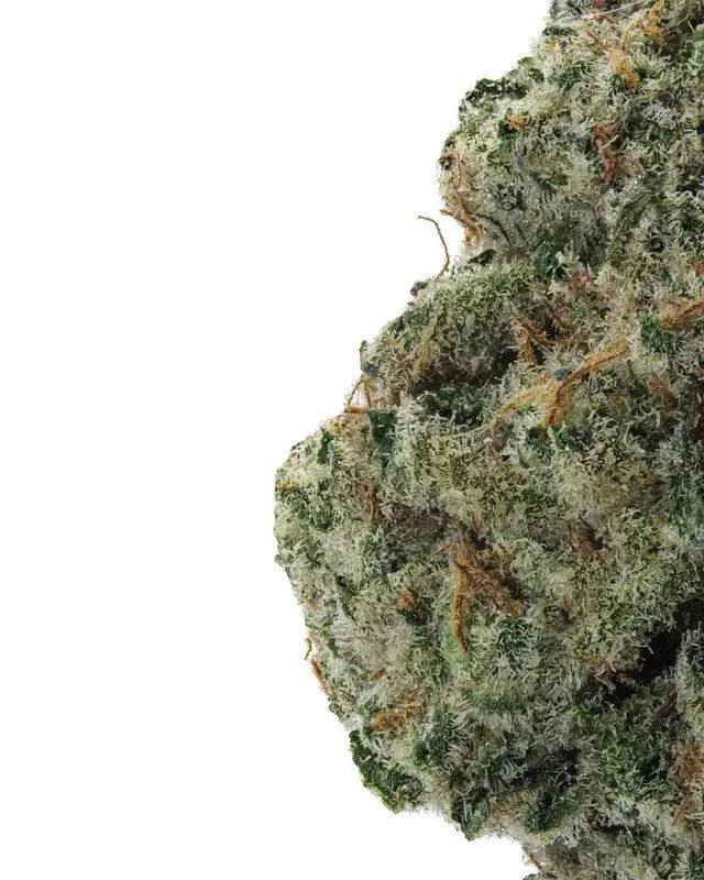 Premium Flower Sunset Runtz (EXOTIC) Siesta G Siesta-G