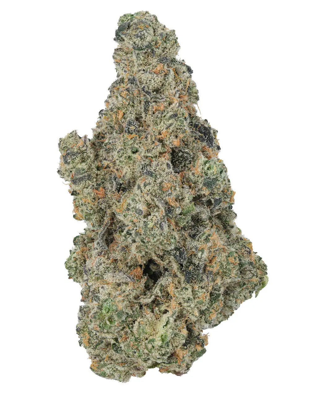Premium Flower Sunset Sherbert Indica Siesta G Siesta G Dispensary