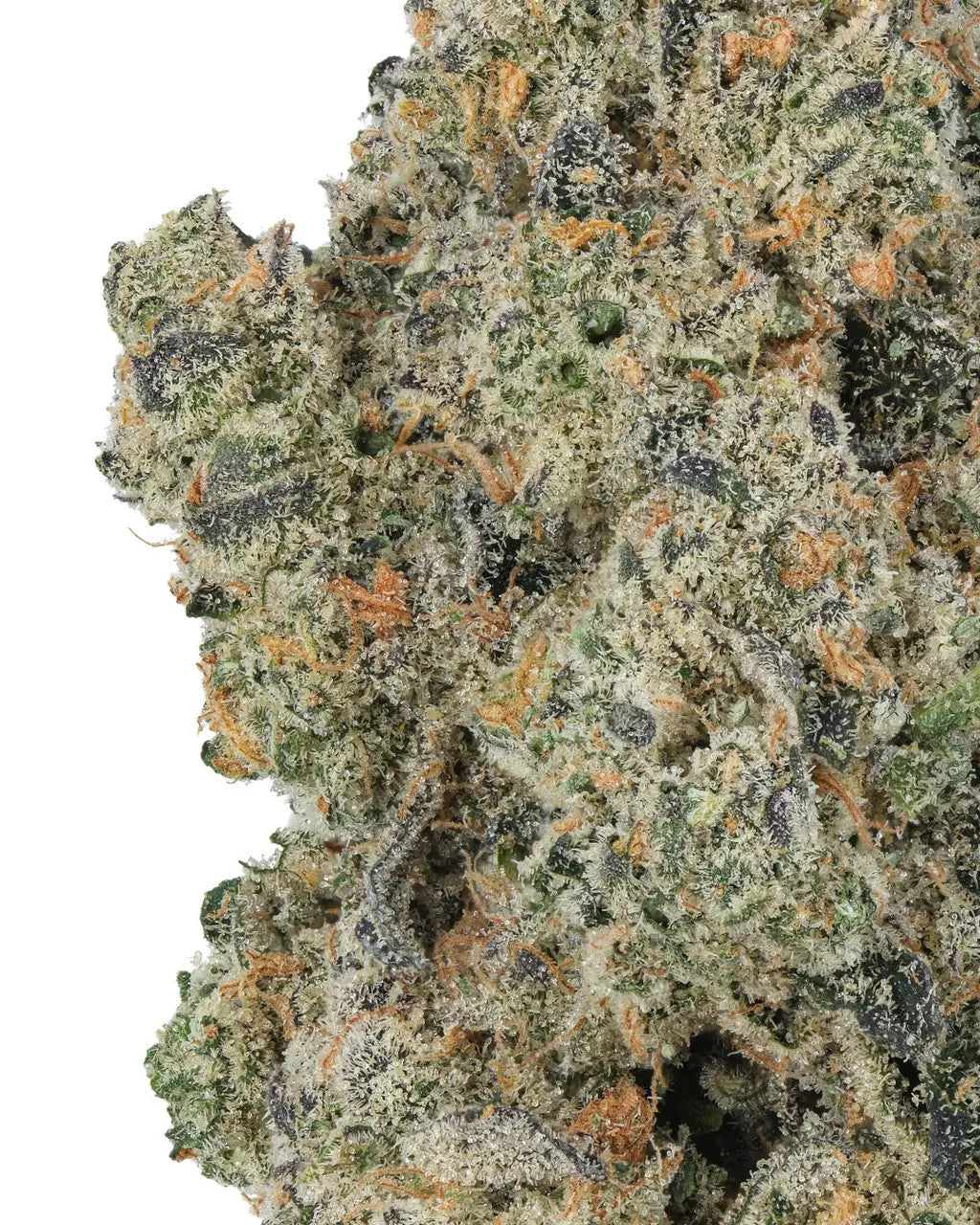 Premium Flower Sunset Sherbert Indica Siesta G Siesta G Dispensary