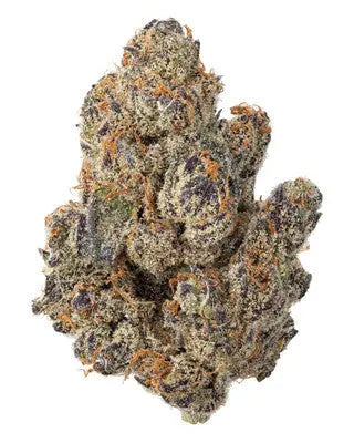 Premium Flower Super Boof Hybrid Siesta G Siesta G Dispensary