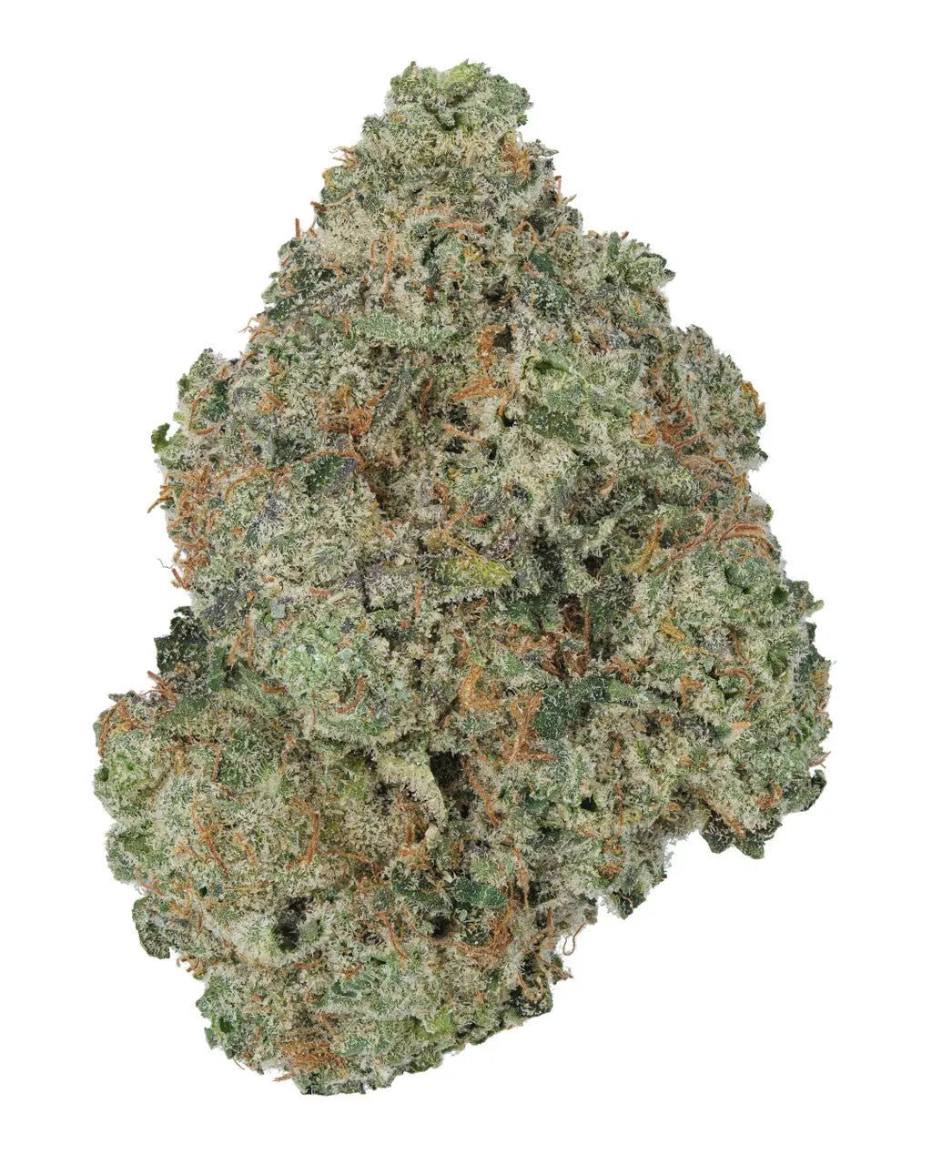 Premium Flower Super Silver Haze Siesta G Siesta G Dispensary