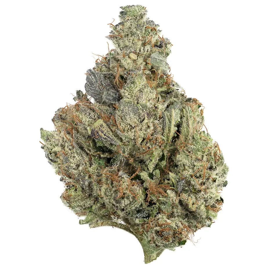Premium Flower THC Bomb Siesta G Siesta G Dispensary