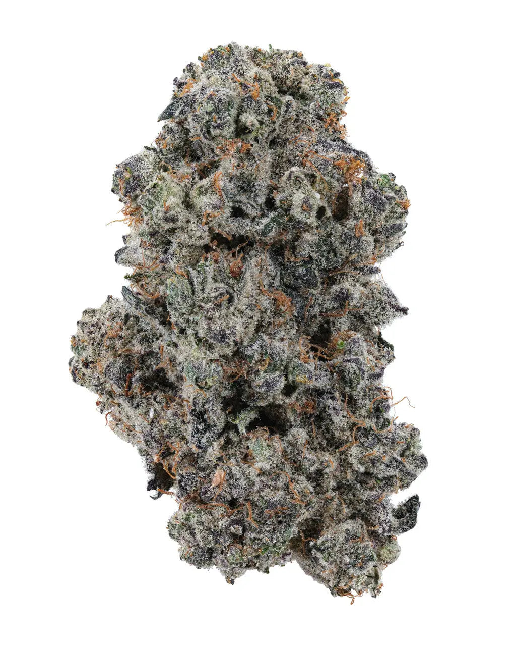 THCa Girl Scout Cookies Indoor Living Soil WNC CBD