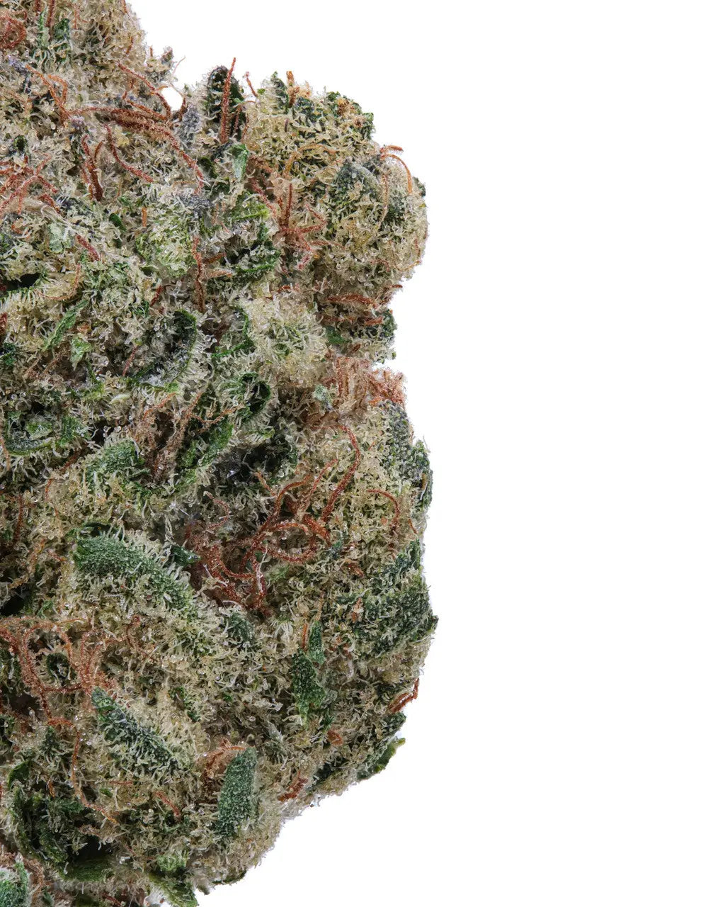 THCa Lemon Drop Indoor WNC CBD