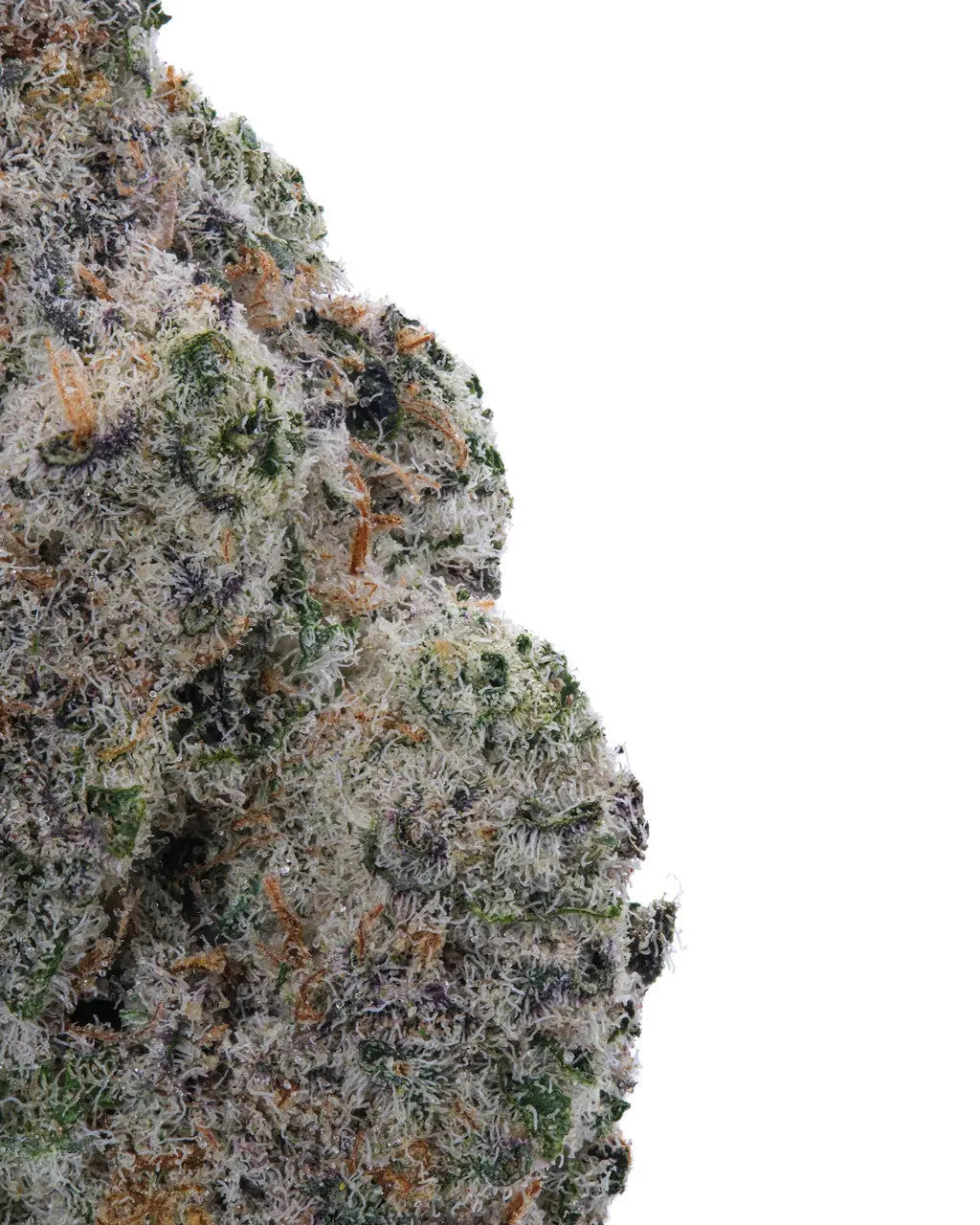 THCa Royal Skywalker OG Indoor Living Soil WNC CBD