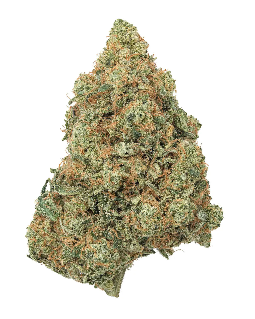 Premium Flower Tahoe OG Siesta G Siesta G Dispensary