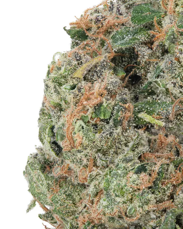 Premium Flower Triangle Mintz KCMMM LLC Siesta G Dispensary