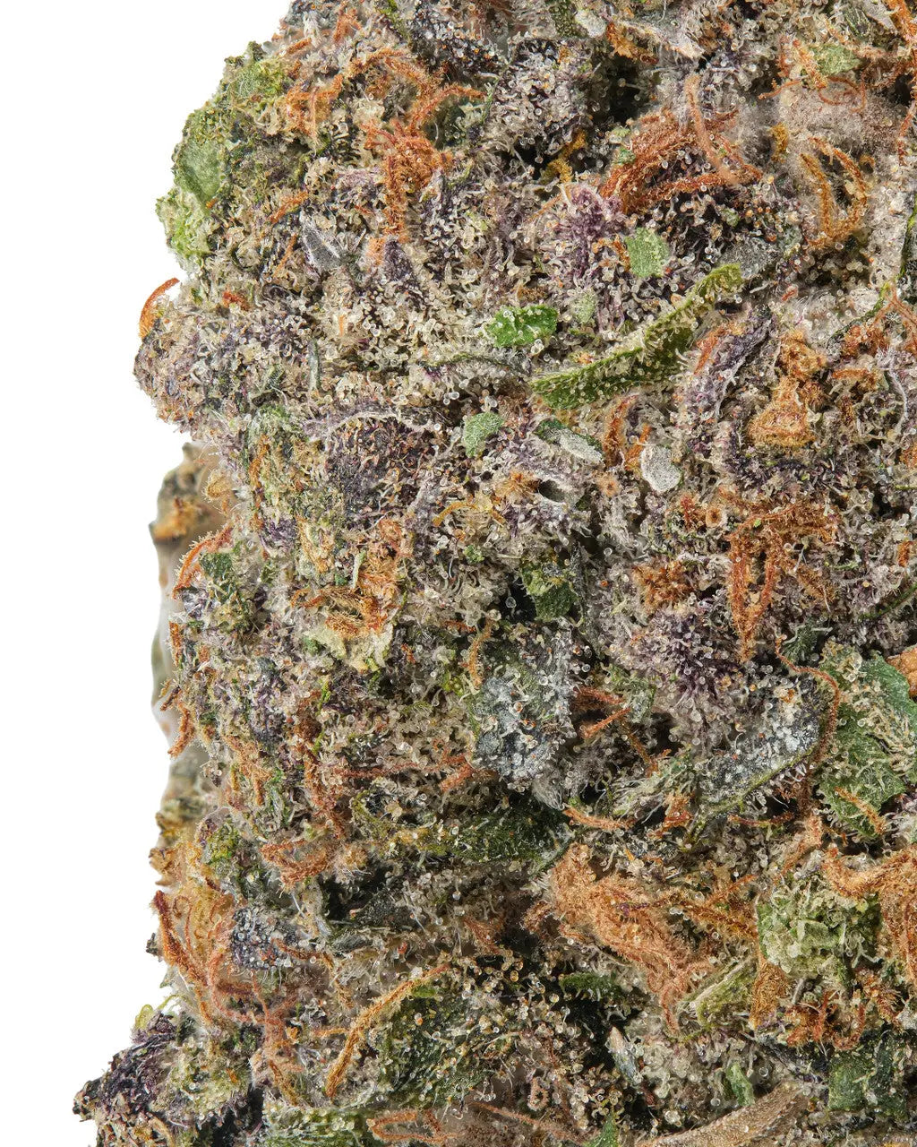 Premium Flower Trop Cherry Sativa Siesta G Siesta G Dispensary