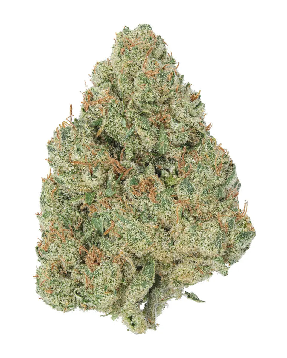 Premium Flower Vanilla Berry Pie Indica Siesta G Siesta G Dispensary