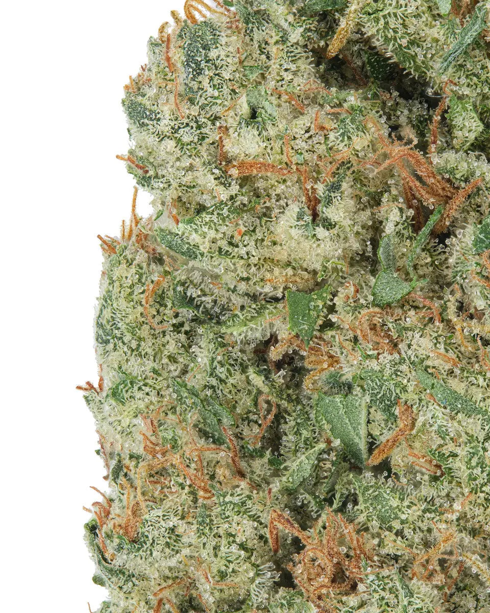 Premium Flower Vanilla Berry Pie Indica Siesta G Siesta G Dispensary
