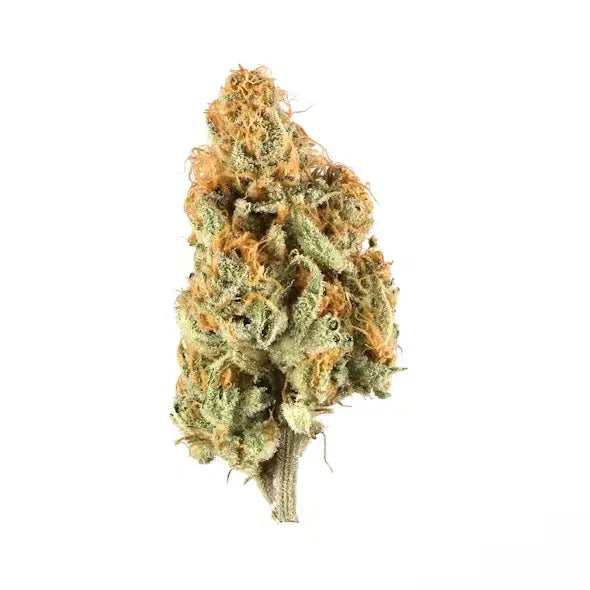 Premium Flower Voodoo Sativa Siesta G Siesta G Dispensary