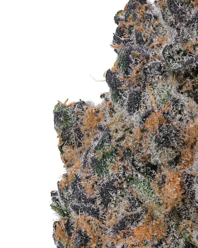 White Apple Tart Exotic Siesta G Dispensary Siesta-G
