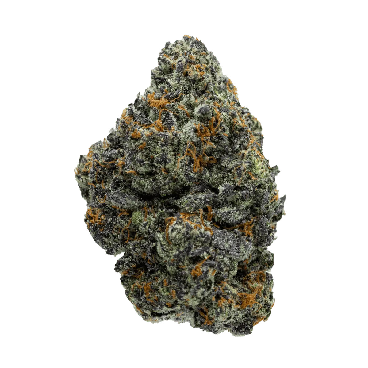 Premium Flower White Bugatti Indica Alien Forces LLC Siesta G Dispensary