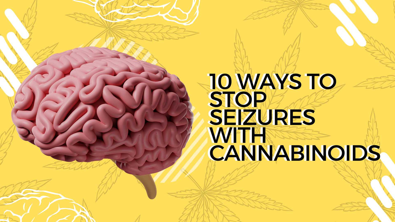10 Ways to Stop Seizures with Cannabinoids Siesta-G