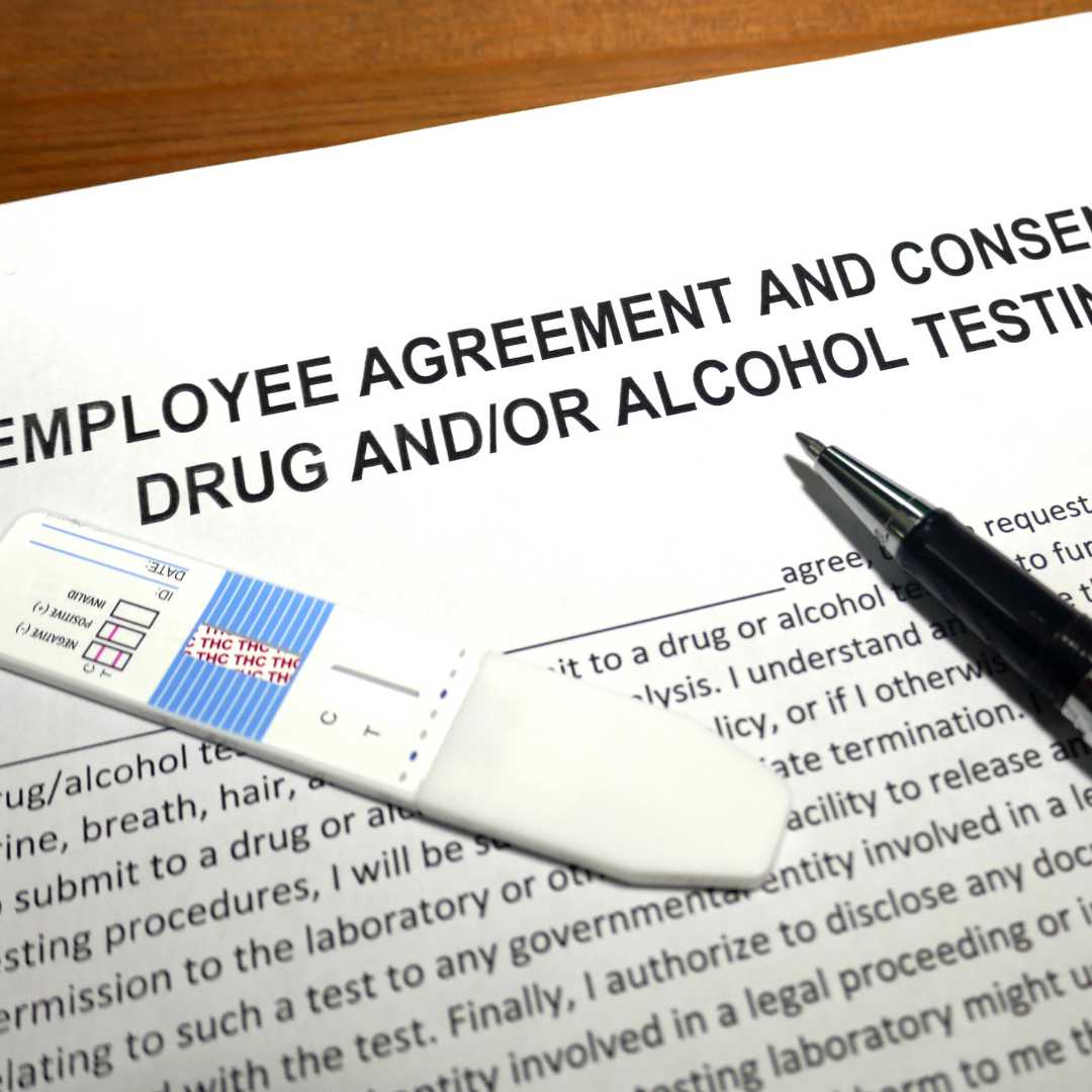 Delta 8 and Drug Tests: What You Need to Know Siesta-G