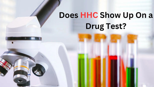 Does HHC Show Up on a Drug Test