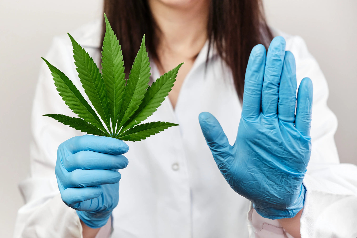 The-Surprising-Benefits-of-Choosing-Cannabis-Over-Big-Pharma Siesta G Dispensary
