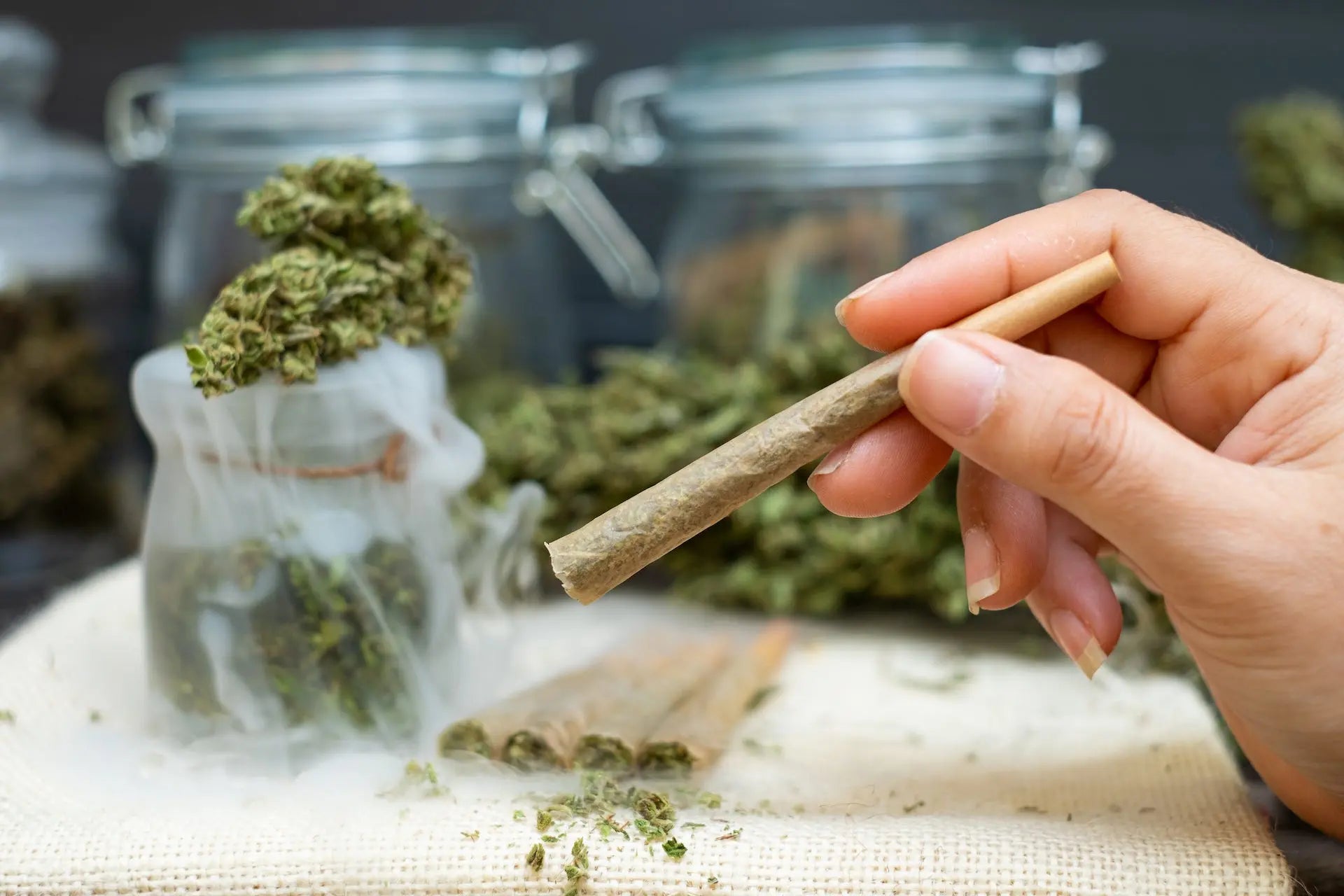 The-Ultimate-Guide-to-Choosing-the-Perfect-Strains Siesta G Dispensary