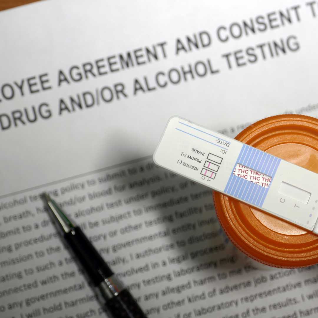 Will Delta 8 Test Positive, or is Delta 8 THC Detected on Drug Tests? Siesta-G