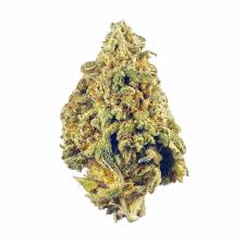 Premium Flower 9LB Hammer Hybrid/Indica Alternative Health Distributioin Siesta G Dispensary