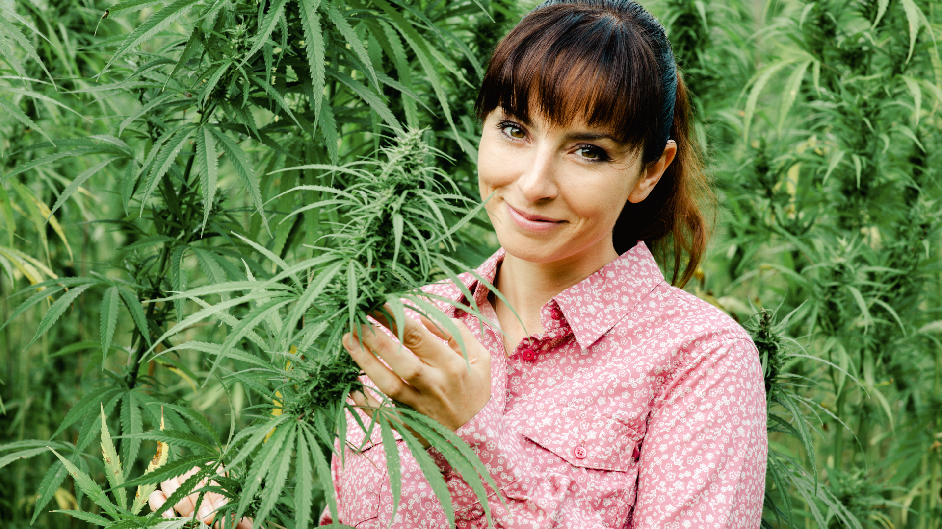 What Is Delta 8? More than what the streets are saying. This women is holding a hemp plant to explain what delta 8 is and the other cannabis derivatives are. This blog is all about D8, aka Delta 8. 