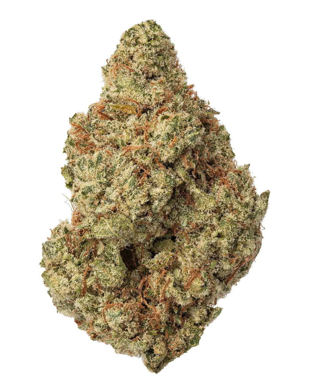 Premium Flower Acapulco Gold Sativa Siesta G Siesta G Dispensary