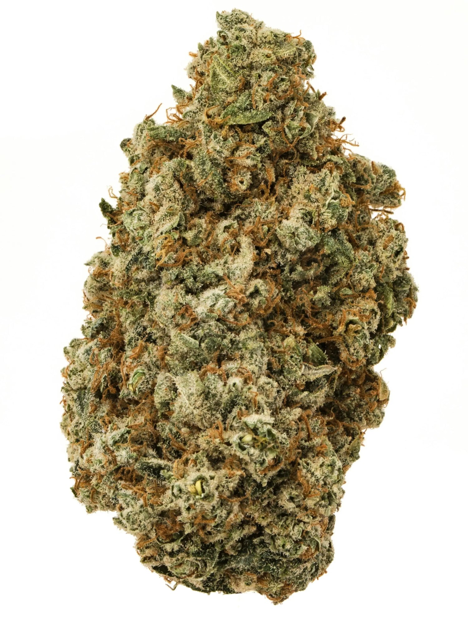 Premium Flower Alien OG Hybrid Alternative Health Distributioin Siesta G Dispensary