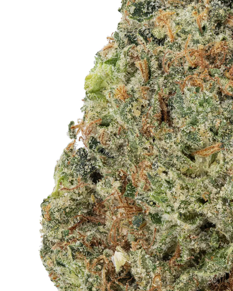 Premium Flower Animal Mintz Hybrid Siesta G Dispensary Siesta G Dispensary