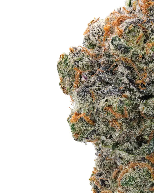 Premium Flower Apple Fritter Hybrid Exotic Siesta G  Siesta G Dispensary