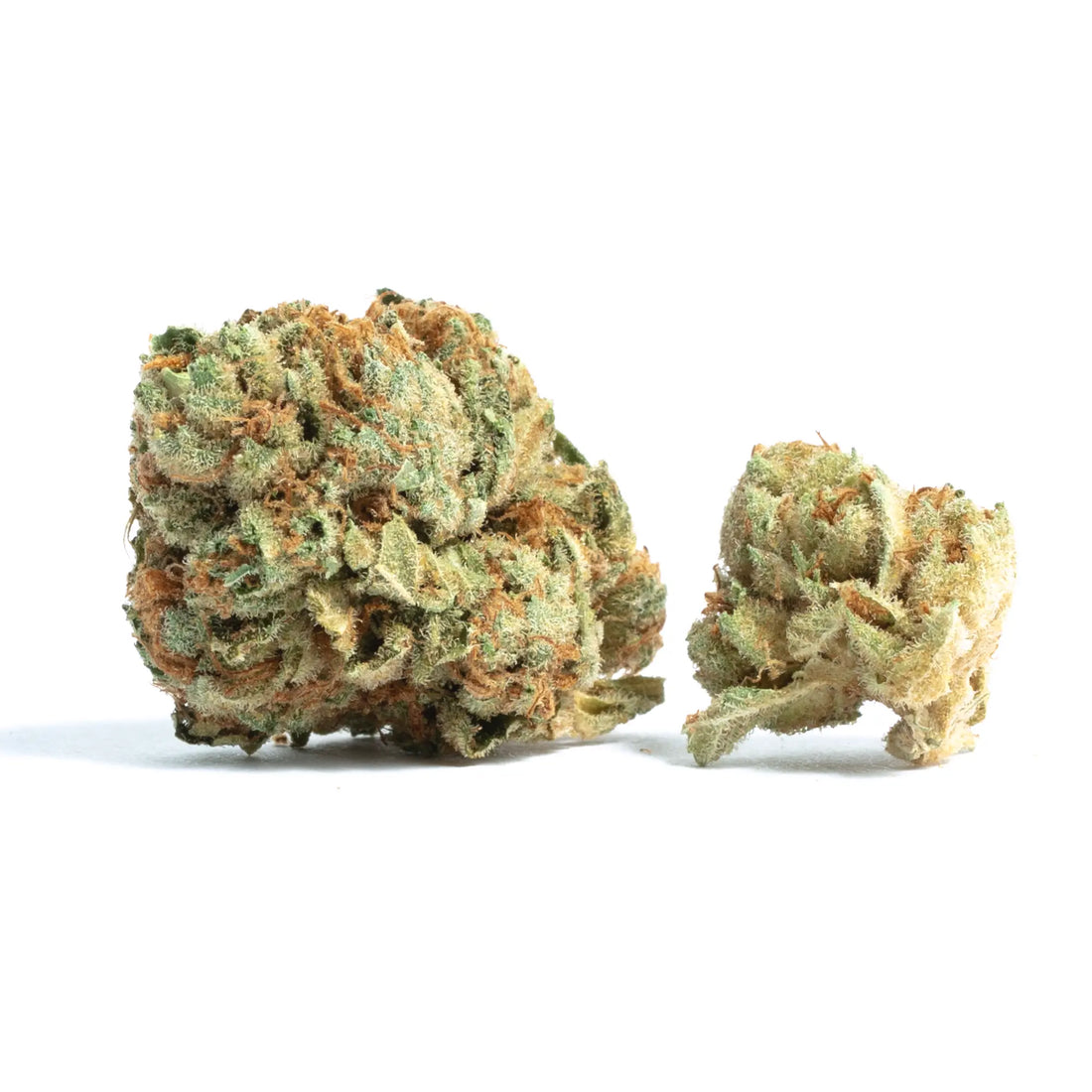 Premium Flower Apple Frost aka Apple Frosting Hybrid Siesta G  Siesta G Dispensary