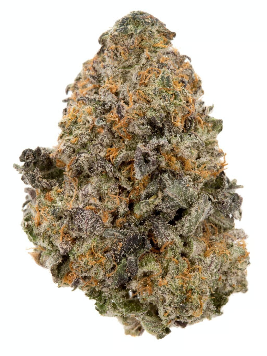 Premium Flower Berry Blue Indica Siesta G  Siesta G Dispensary