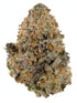 Premium Flower Berry Blue Indica Siesta G  Siesta G Dispensary