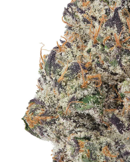 Premium Flower Black Sundae Hybrid KCMMM LLC Siesta G Dispensary